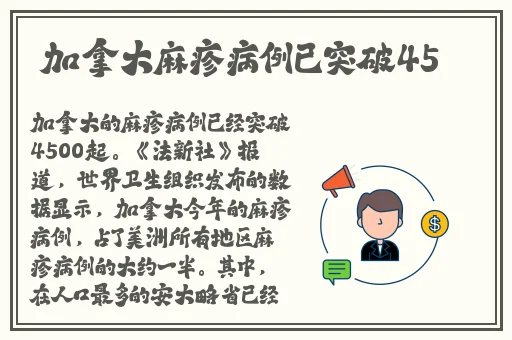 操罕见的一线天B